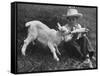 Little White Goat Being Fed from Bottle by Little Boy, at White Horse Ranch-William C^ Shrout-Framed Stretched Canvas