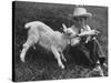 Little White Goat Being Fed from Bottle by Little Boy, at White Horse Ranch-William C^ Shrout-Stretched Canvas