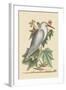 Little White Heron-Mark Catesby-Framed Art Print