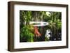 Little White Plantation Bridge-George Oze-Framed Premium Photographic Print