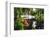 Little White Plantation Bridge-George Oze-Framed Premium Photographic Print