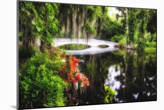 Little White Plantation Bridge-George Oze-Mounted Photographic Print