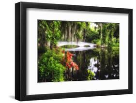 Little White Plantation Bridge-George Oze-Framed Photographic Print