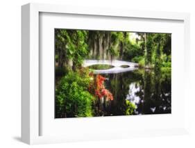 Little White Plantation Bridge-George Oze-Framed Photographic Print