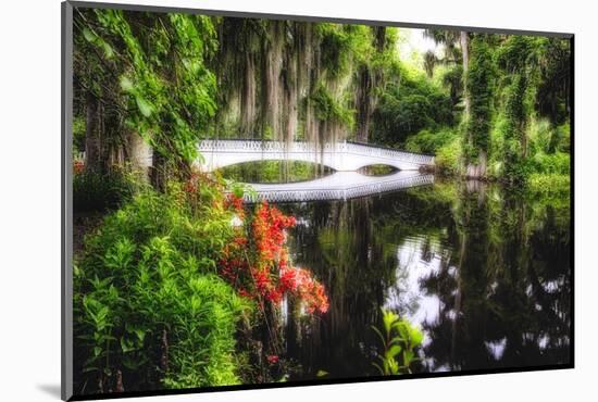 Little White Plantation Bridge-George Oze-Mounted Photographic Print