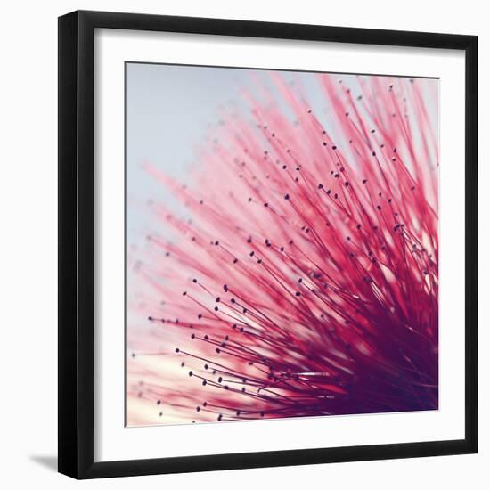 Little Wonders-Incredi-Framed Photographic Print