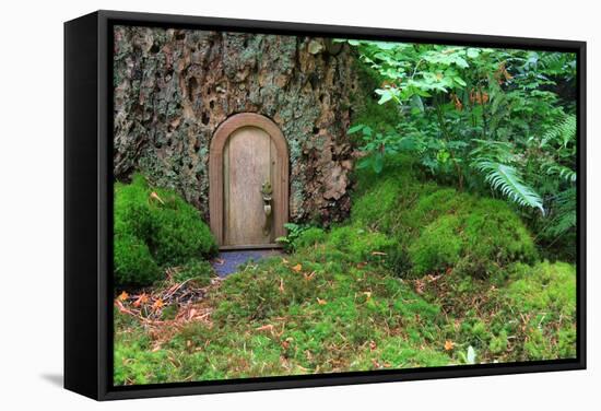 Little Wooden Fairy Tale Door In A Tree Trunk-Hannamariah-Framed Stretched Canvas