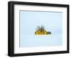 Little yellow house-Marco Carmassi-Framed Photographic Print