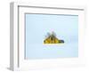 Little yellow house-Marco Carmassi-Framed Photographic Print