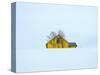 Little yellow house-Marco Carmassi-Stretched Canvas