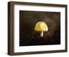 Little Yellow Mushroom-Jai Johnson-Framed Giclee Print