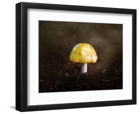 Little Yellow Mushroom-Jai Johnson-Framed Giclee Print