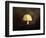 Little Yellow Mushroom-Jai Johnson-Framed Giclee Print