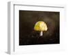 Little Yellow Mushroom-Jai Johnson-Framed Giclee Print