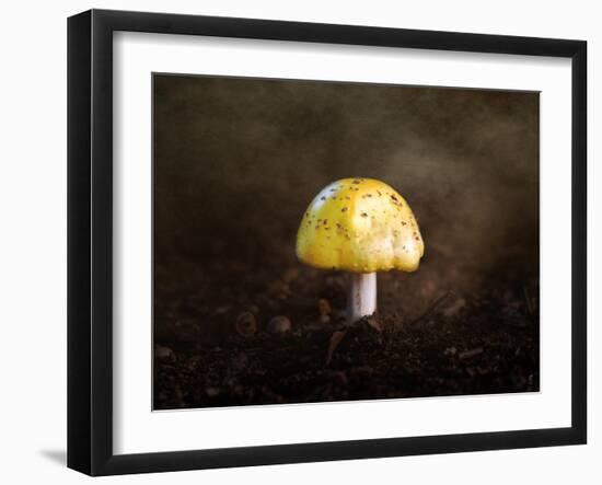 Little Yellow Mushroom-Jai Johnson-Framed Giclee Print