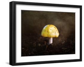 Little Yellow Mushroom-Jai Johnson-Framed Giclee Print