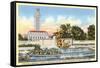 Littlefield Fountain, University of Texas, Austin-null-Framed Stretched Canvas