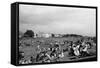 Littlehampton Common-null-Framed Stretched Canvas