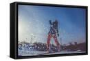 Framed Canvas
