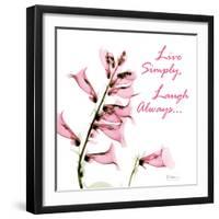 Live and Laugh Foxglove-Albert Koetsier-Framed Photographic Print