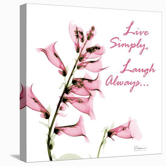 Live and Laugh Foxglove-Albert Koetsier-Stretched Canvas