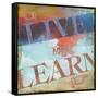 Live and Learn-Sloane Addison  -Framed Stretched Canvas