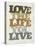 Live and Love II-null-Stretched Canvas
