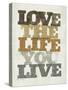 Live and Love II-null-Stretched Canvas