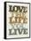 Live and Love II-null-Framed Stretched Canvas