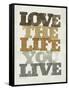 Live and Love II-null-Framed Stretched Canvas