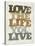 Live and Love II-null-Stretched Canvas