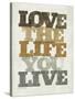 Live and Love II-null-Stretched Canvas