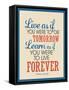 Live As If Learn As If Art Gandhi Quote Poster-null-Framed Stretched Canvas