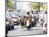 Live Chickens and Ducks Being Taken to Market on a Moped in Phnom Penh, Cambodia, Indochina-Matthew Williams-Ellis-Mounted Photographic Print