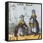 Live Eels!, Cries of London, C1840-TH Jones-Framed Stretched Canvas