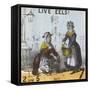 Live Eels!, Cries of London, C1840-TH Jones-Framed Stretched Canvas