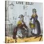 Live Eels!, Cries of London, C1840-TH Jones-Stretched Canvas