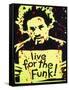 Live for the Funk-Abstract Graffiti-Framed Stretched Canvas