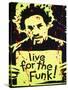 Live for the Funk-Abstract Graffiti-Stretched Canvas