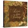 Live for Today-Piper Ballantyne-Stretched Canvas