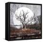 Live Forever-Philippe Sainte-Laudy-Framed Stretched Canvas