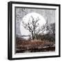Live Forever-Philippe Sainte-Laudy-Framed Photographic Print