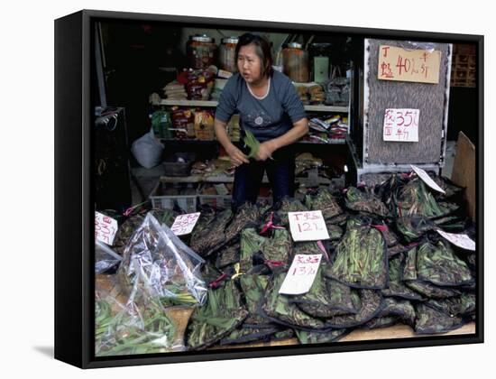 Live Grasshoppers, Bird Food, Yuen Po Street Bird Garden, Mong Kok, Kowloon, Hong Kong, China-Amanda Hall-Framed Stretched Canvas