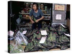 Live Grasshoppers, Bird Food, Yuen Po Street Bird Garden, Mong Kok, Kowloon, Hong Kong, China-Amanda Hall-Stretched Canvas