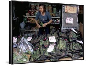 Live Grasshoppers, Bird Food, Yuen Po Street Bird Garden, Mong Kok, Kowloon, Hong Kong, China-Amanda Hall-Framed Photographic Print