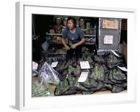 Live Grasshoppers, Bird Food, Yuen Po Street Bird Garden, Mong Kok, Kowloon, Hong Kong, China-Amanda Hall-Framed Photographic Print