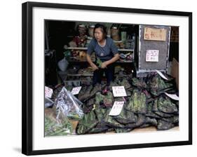 Live Grasshoppers, Bird Food, Yuen Po Street Bird Garden, Mong Kok, Kowloon, Hong Kong, China-Amanda Hall-Framed Photographic Print