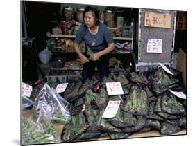 Live Grasshoppers, Bird Food, Yuen Po Street Bird Garden, Mong Kok, Kowloon, Hong Kong, China-Amanda Hall-Mounted Photographic Print