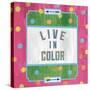 Live in Color-Ashley Sta Teresa-Stretched Canvas