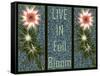 Live In Full Bloom-Fractalicious-Framed Stretched Canvas